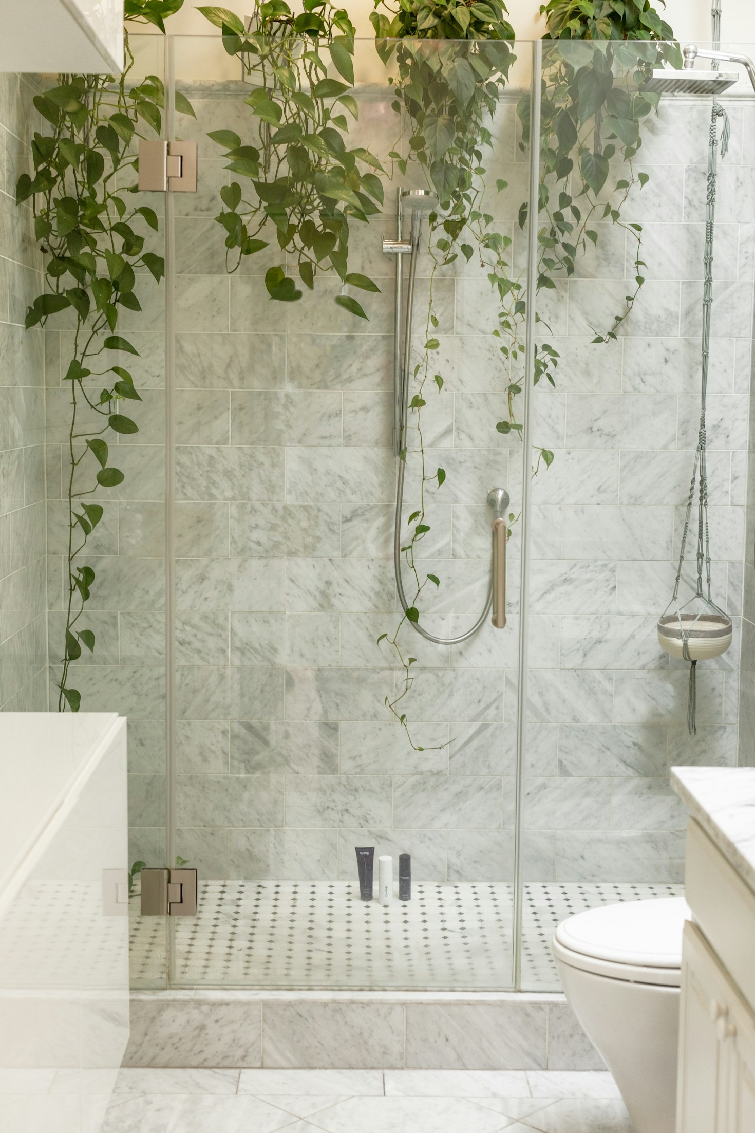 Creating Beautiful Gardens: Ideas and Inspirations